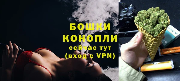 ПСИЛОЦИБИНОВЫЕ ГРИБЫ Карпинск