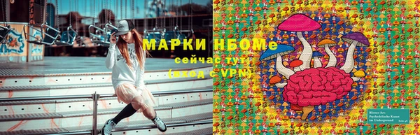 ПСИЛОЦИБИНОВЫЕ ГРИБЫ Карпинск