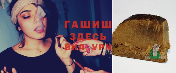 spice Инта