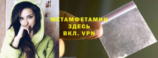 spice Инта