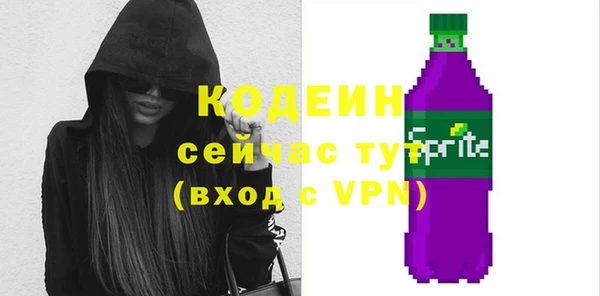 spice Инта