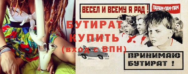 spice Инта