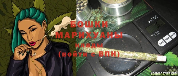 spice Инта