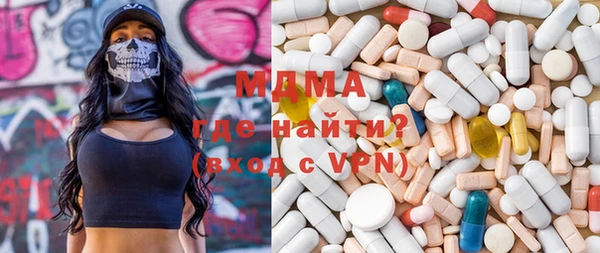 spice Инта