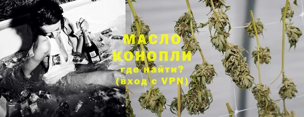 spice Инта