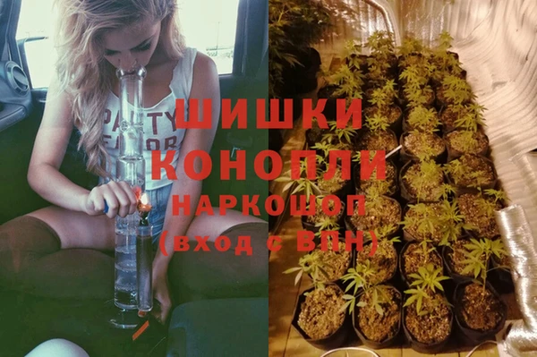 мет Инсар