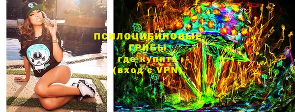 ПСИЛОЦИБИНОВЫЕ ГРИБЫ Карпинск