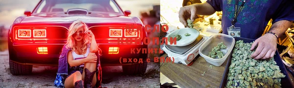 ПСИЛОЦИБИНОВЫЕ ГРИБЫ Карпинск
