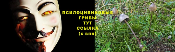 мет Инсар