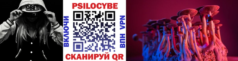 Купить  Заозёрск  Псилоцибиновые грибы Cubensis 